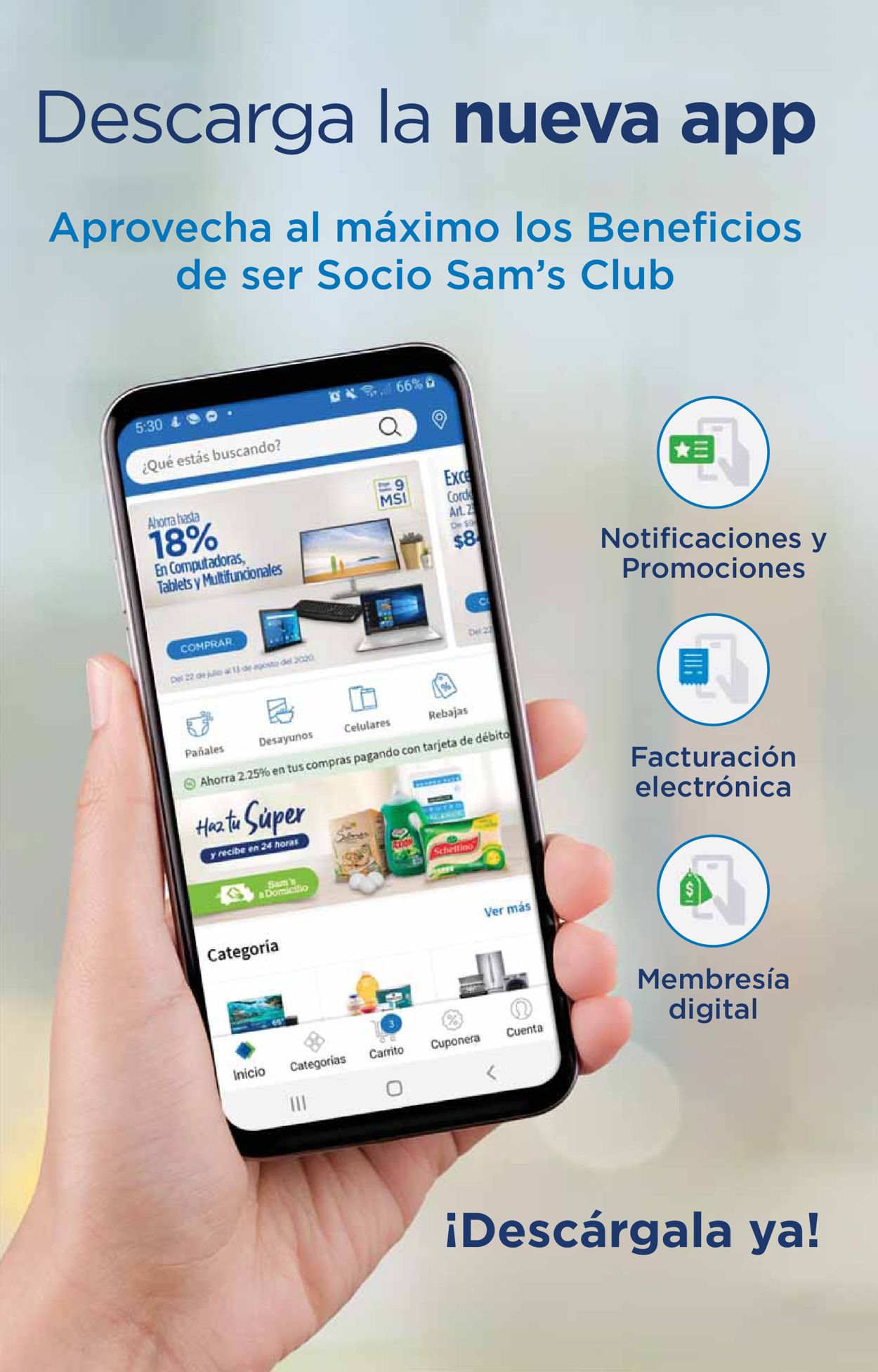 Sam's Club Folleto - 05.11-16.11.2020 (Página 16)