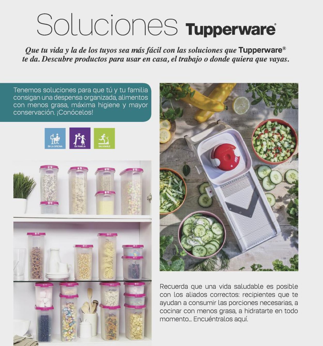 Tupperware Folleto - 06.07-18.10.2020 (Página 2)