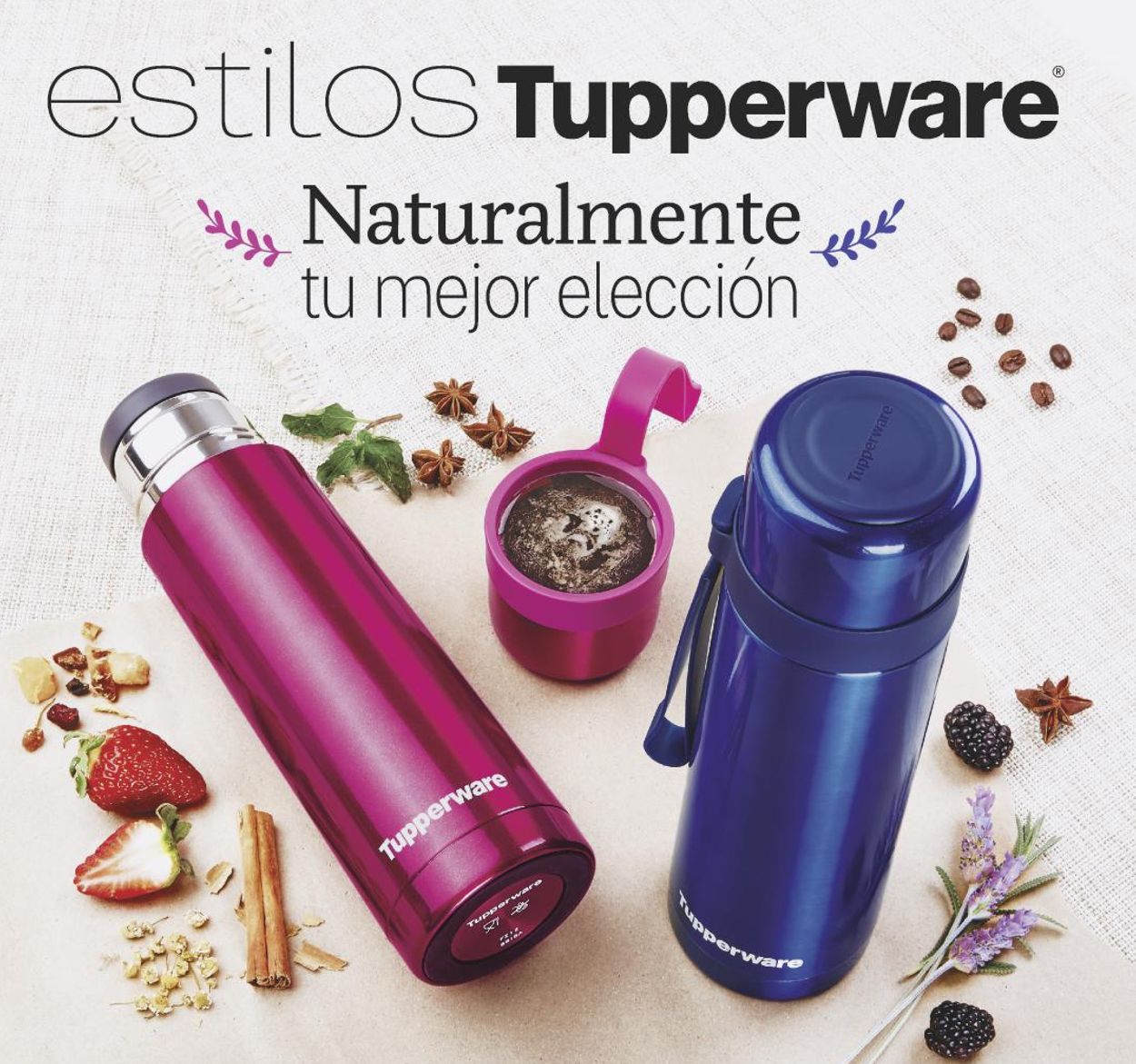 Tupperware Folleto - 01.03-01.03.2021 (Página 67)
