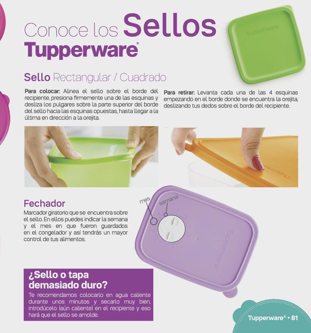 Tupperware Folleto - 12.04-04.07.2021 (Página 81)