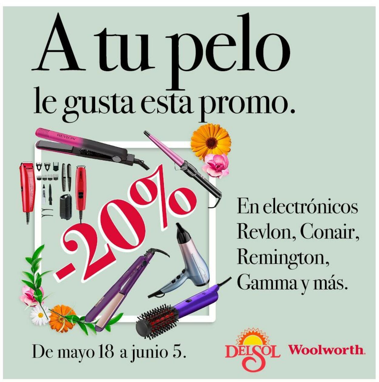 Woolworth Folleto - 31.05-06.06.2023