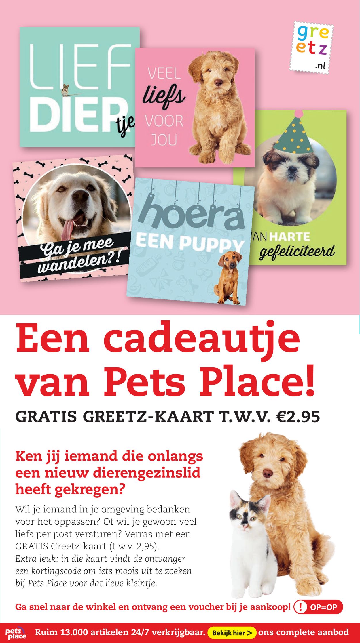 Pets Place Folder - 22.06-05.07.2020 (Pagina 16)