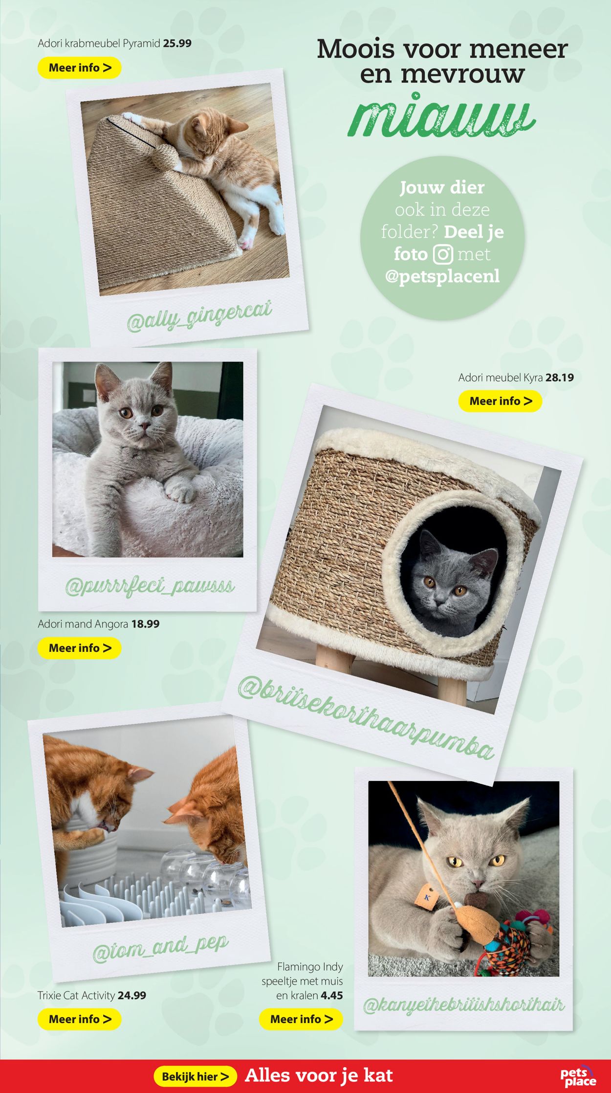 Pets Place Folder - 01.03-14.03.2021 (Pagina 5)
