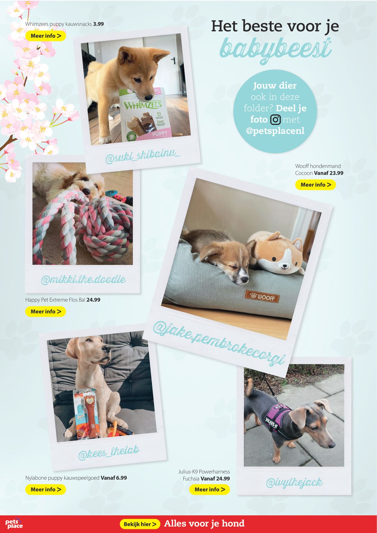 Pets Place Folder - 26.04-09.05.2021 (Pagina 8)