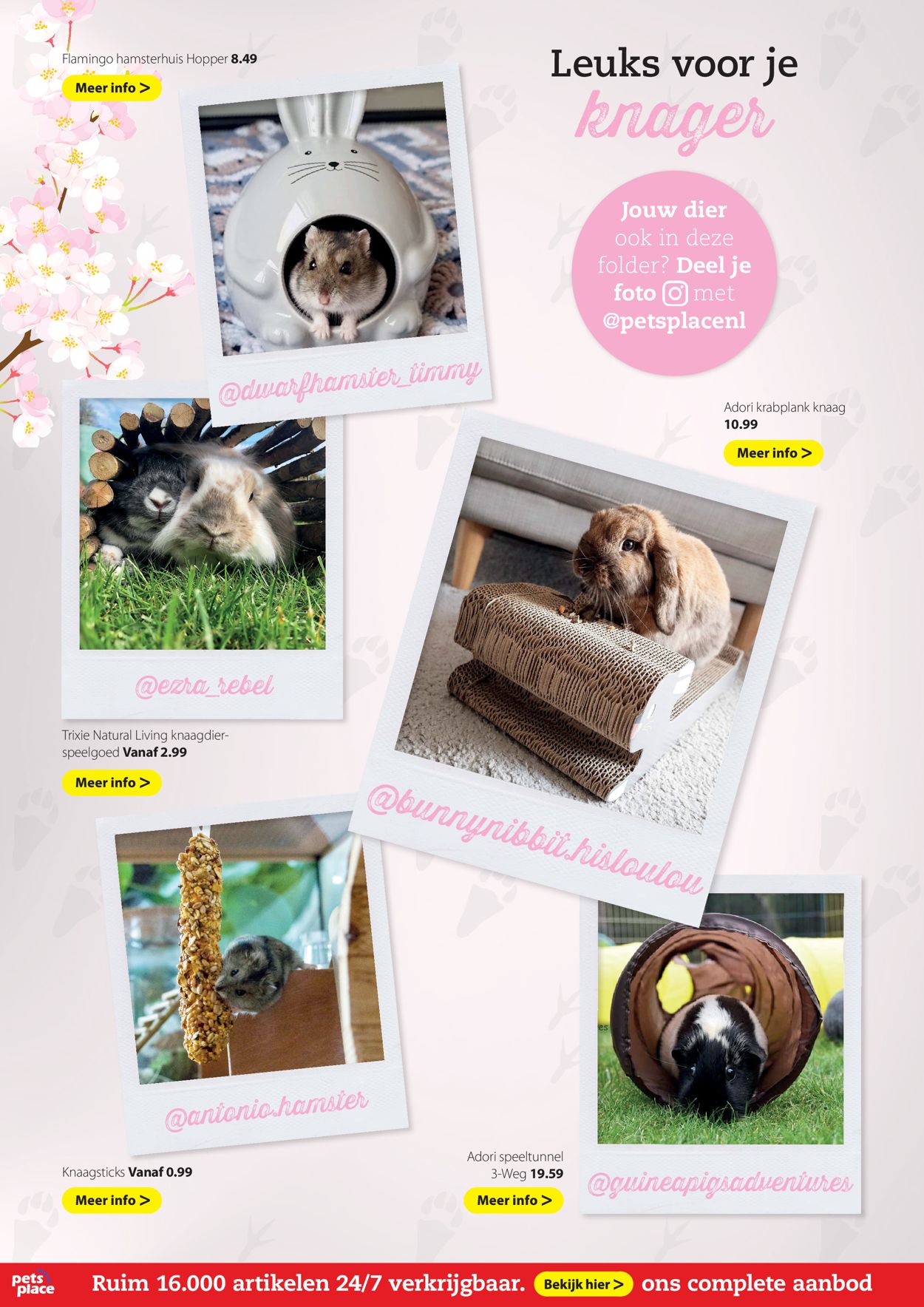 Pets Place Folder - 26.04-09.05.2021 (Pagina 18)