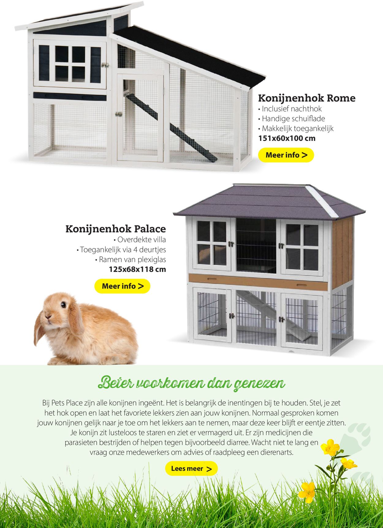 Pets Place Folder - 24.08-30.09.2021 (Pagina 7)