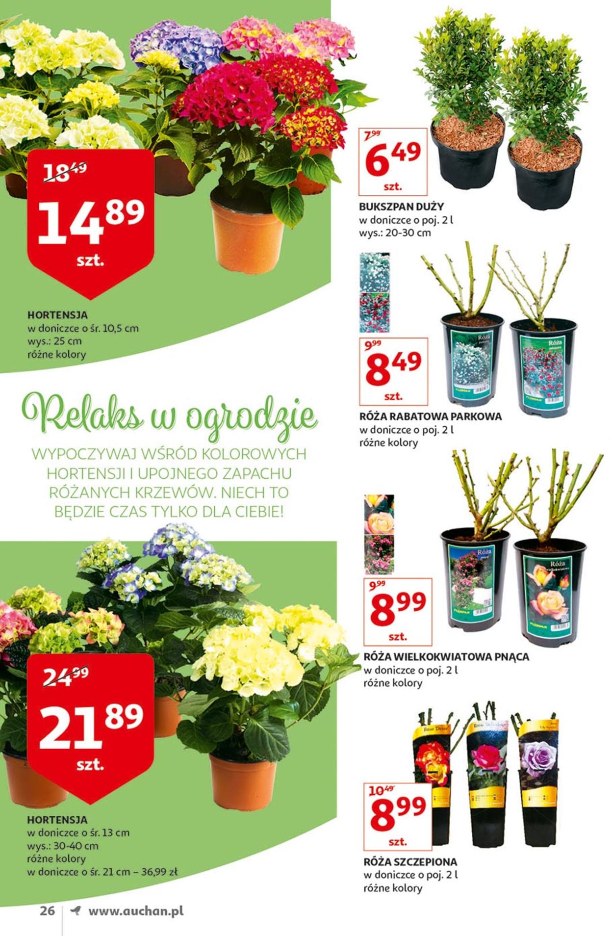 Gazetka promocyjna Auchan - 12.04-30.04.2019 (Strona 29)