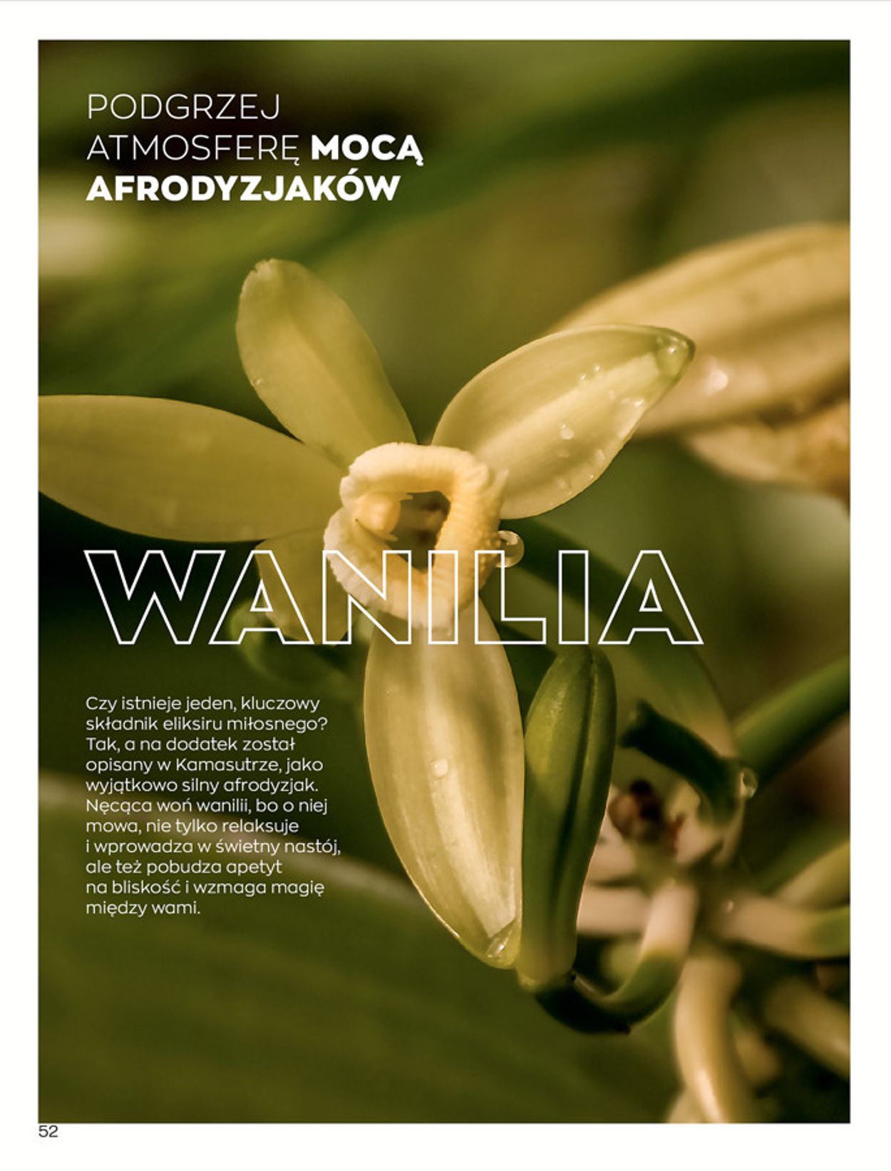 Gazetka promocyjna Avon - 16.01-05.02.2020 (Strona 52)
