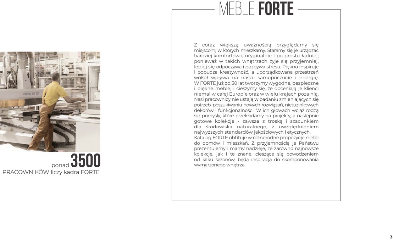 Gazetka promocyjna Forte - 30.09-31.03.2022 (Strona 3)