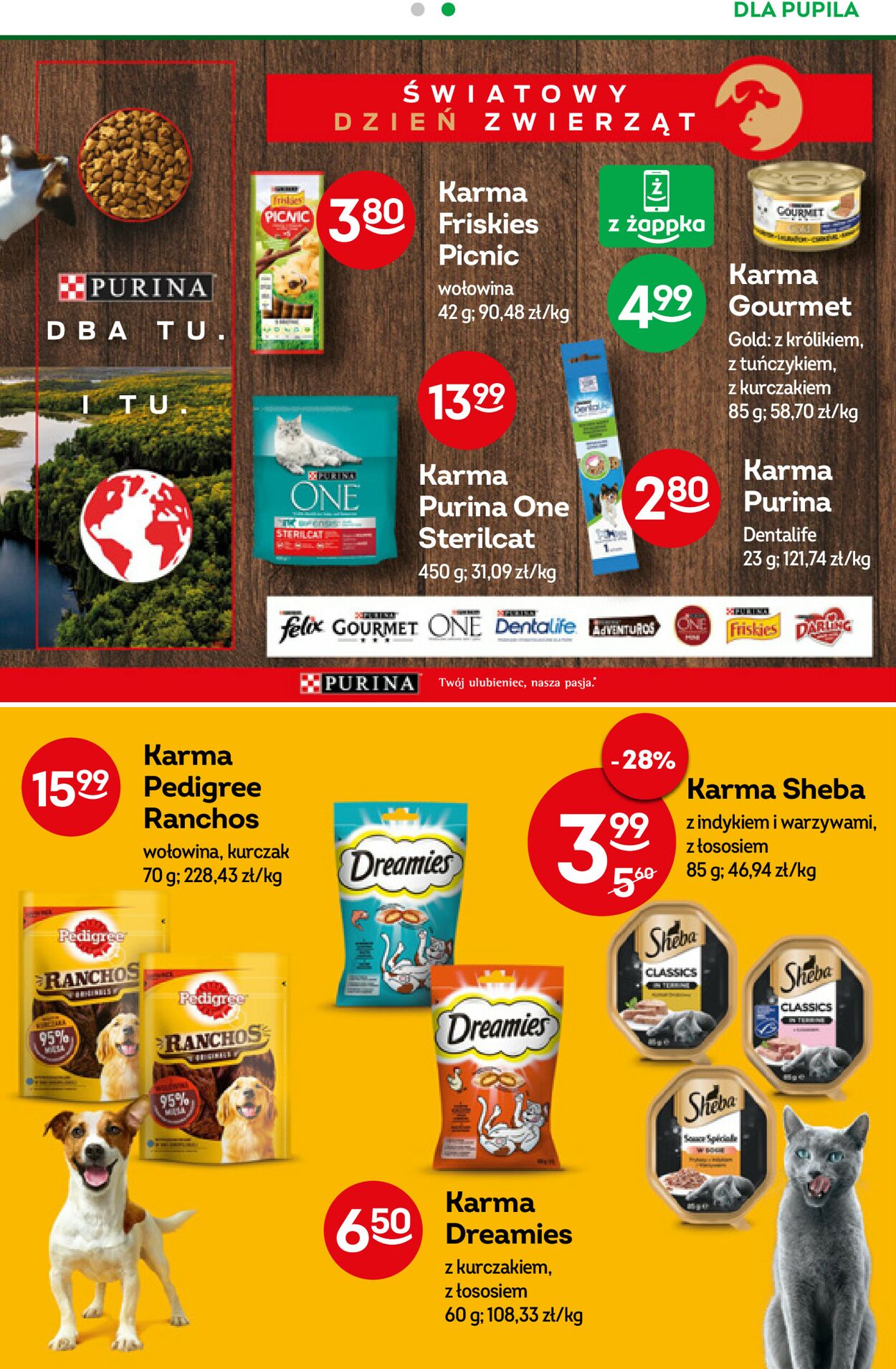 Gazetka promocyjna Fresh market - 28.09-04.10.2022 (Strona 49)