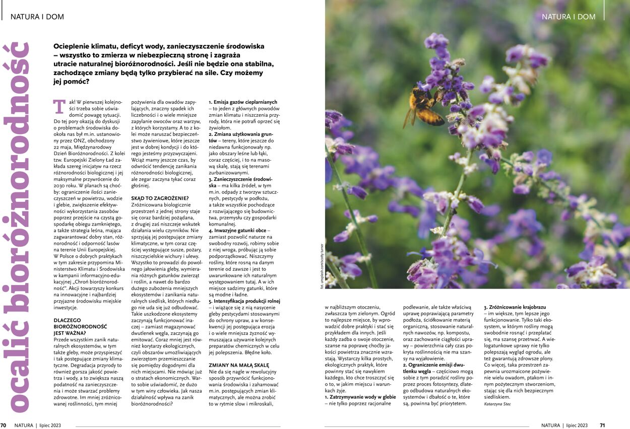 Gazetka promocyjna Natura - 01.07-31.07.2023 (Strona 36)