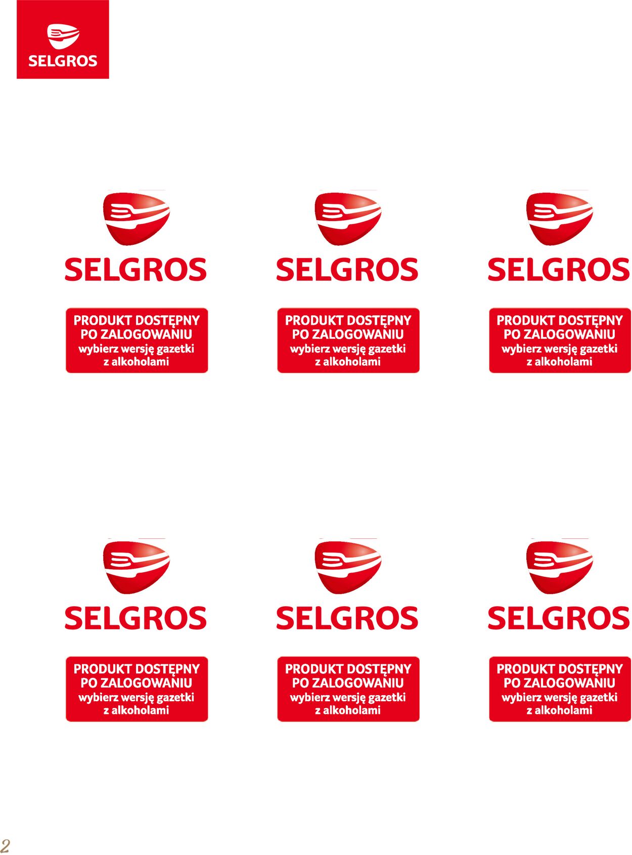 Gazetka promocyjna Selgros - 29.06-12.07.2023 (Strona 2)