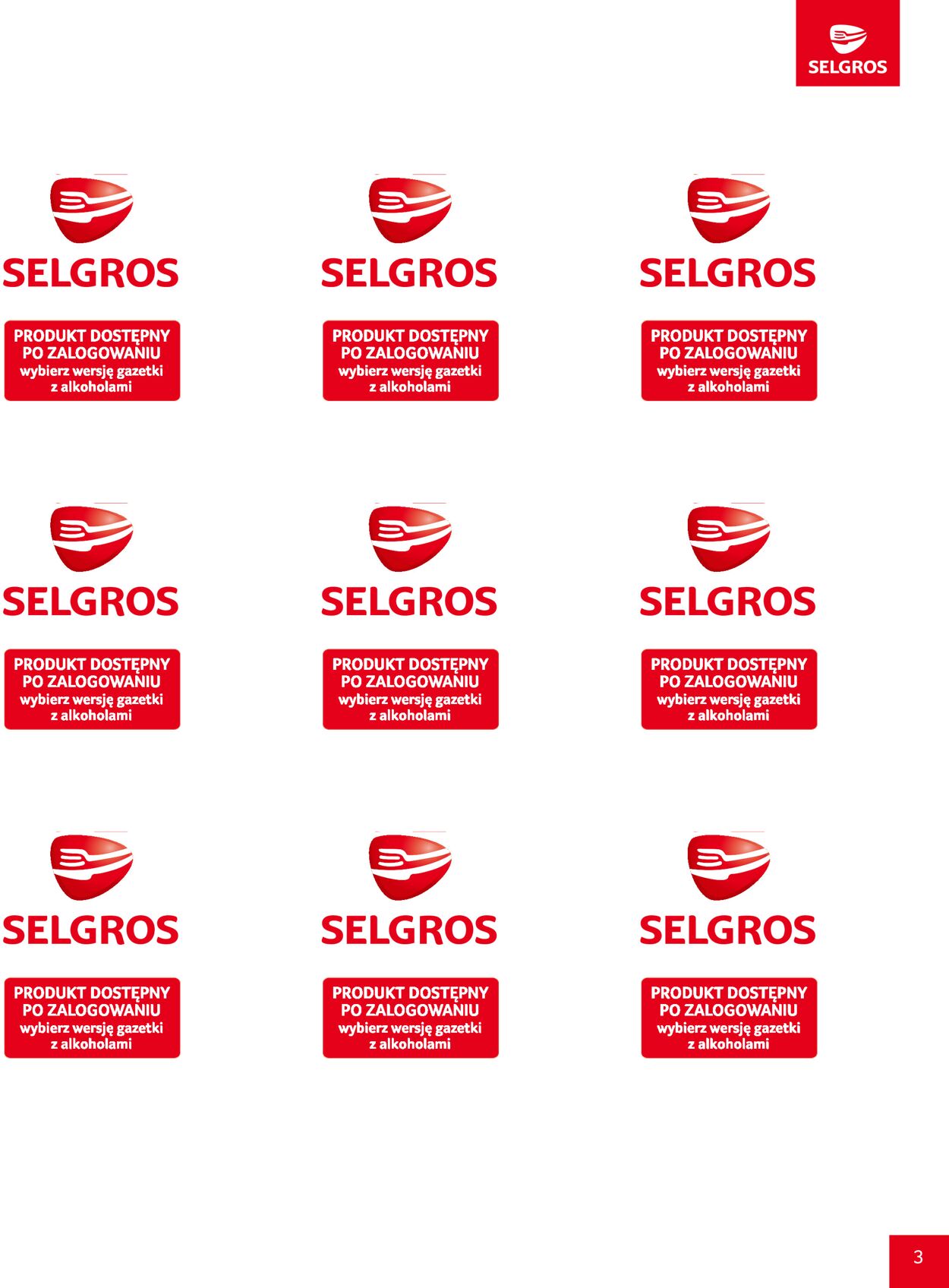 Gazetka promocyjna Selgros - 24.08-06.09.2023 (Strona 3)