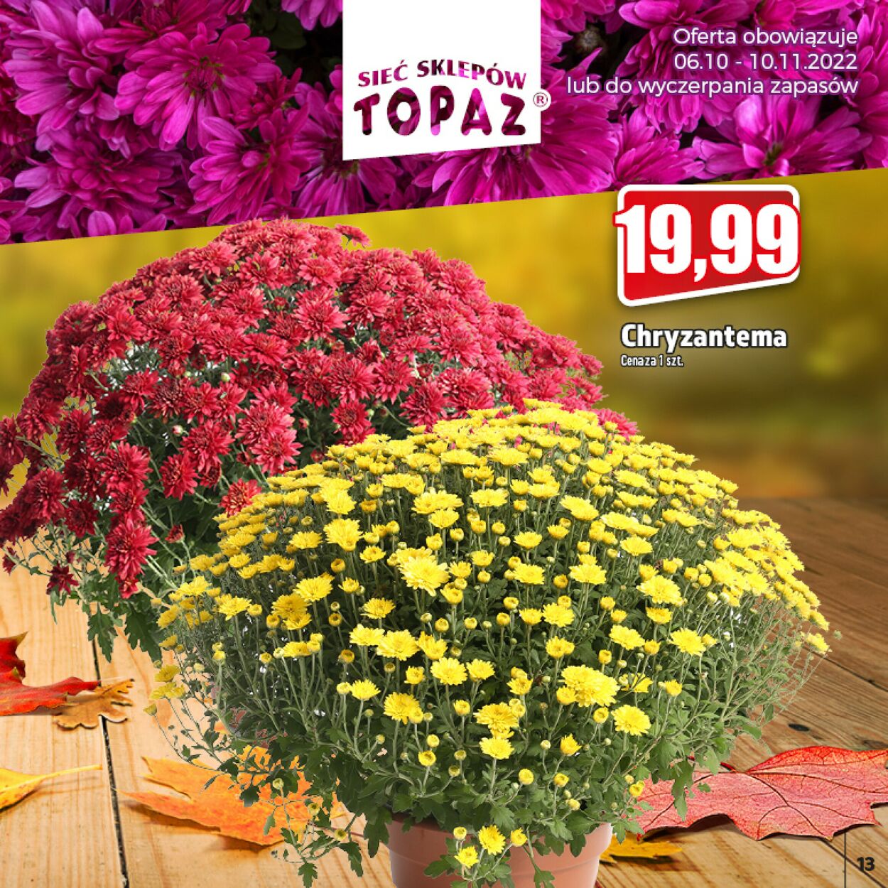 Gazetka promocyjna Topaz - 06.10-10.11.2022 (Strona 13)