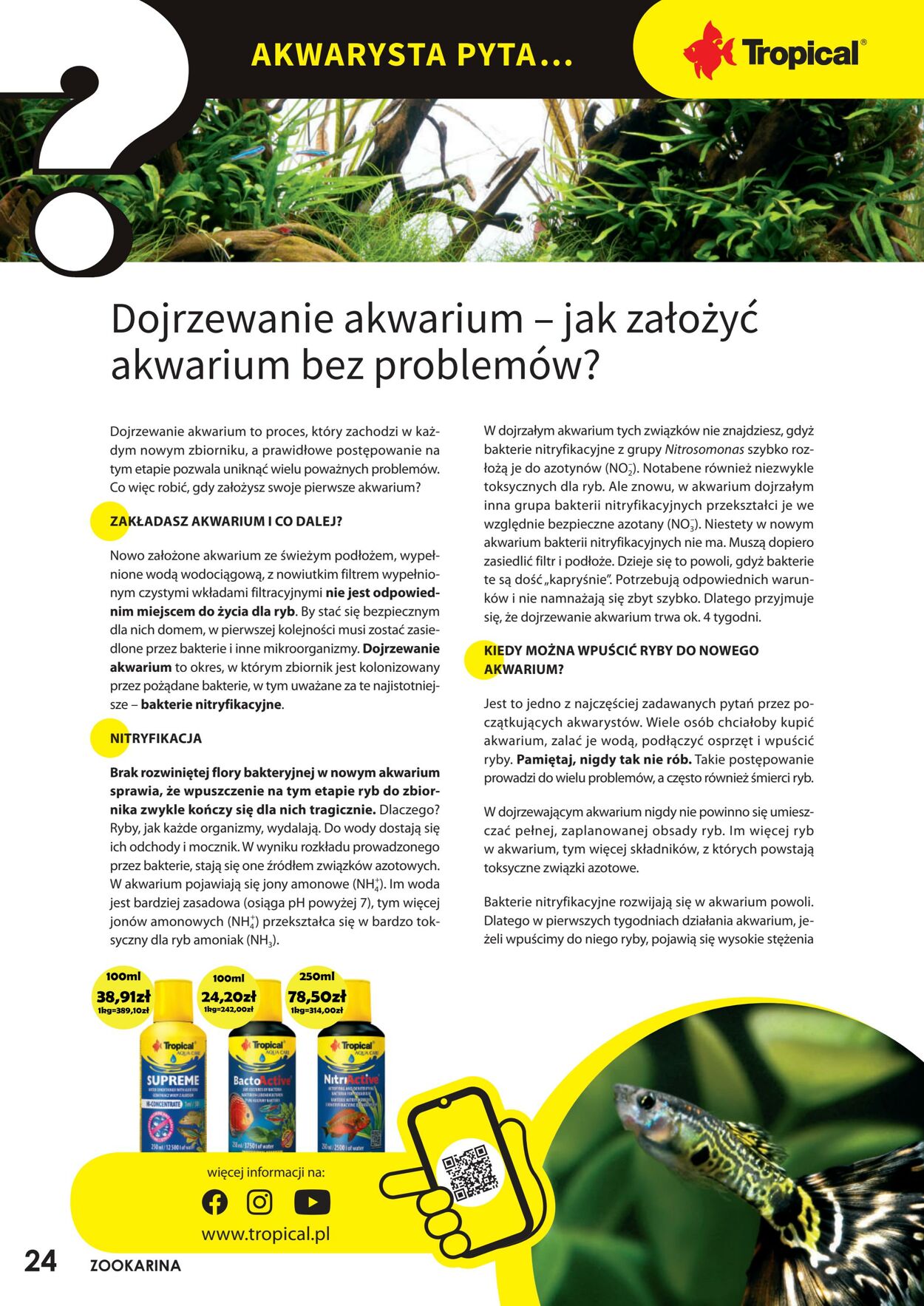 Gazetka promocyjna ZOO Karina - 01.11-30.11.2022 (Strona 24)