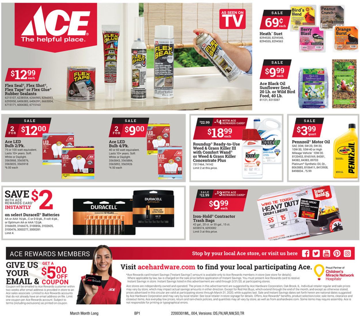 Ace Hardware Weekly Ad Circular - valid 03/01-03/31/2020 (Page 4)