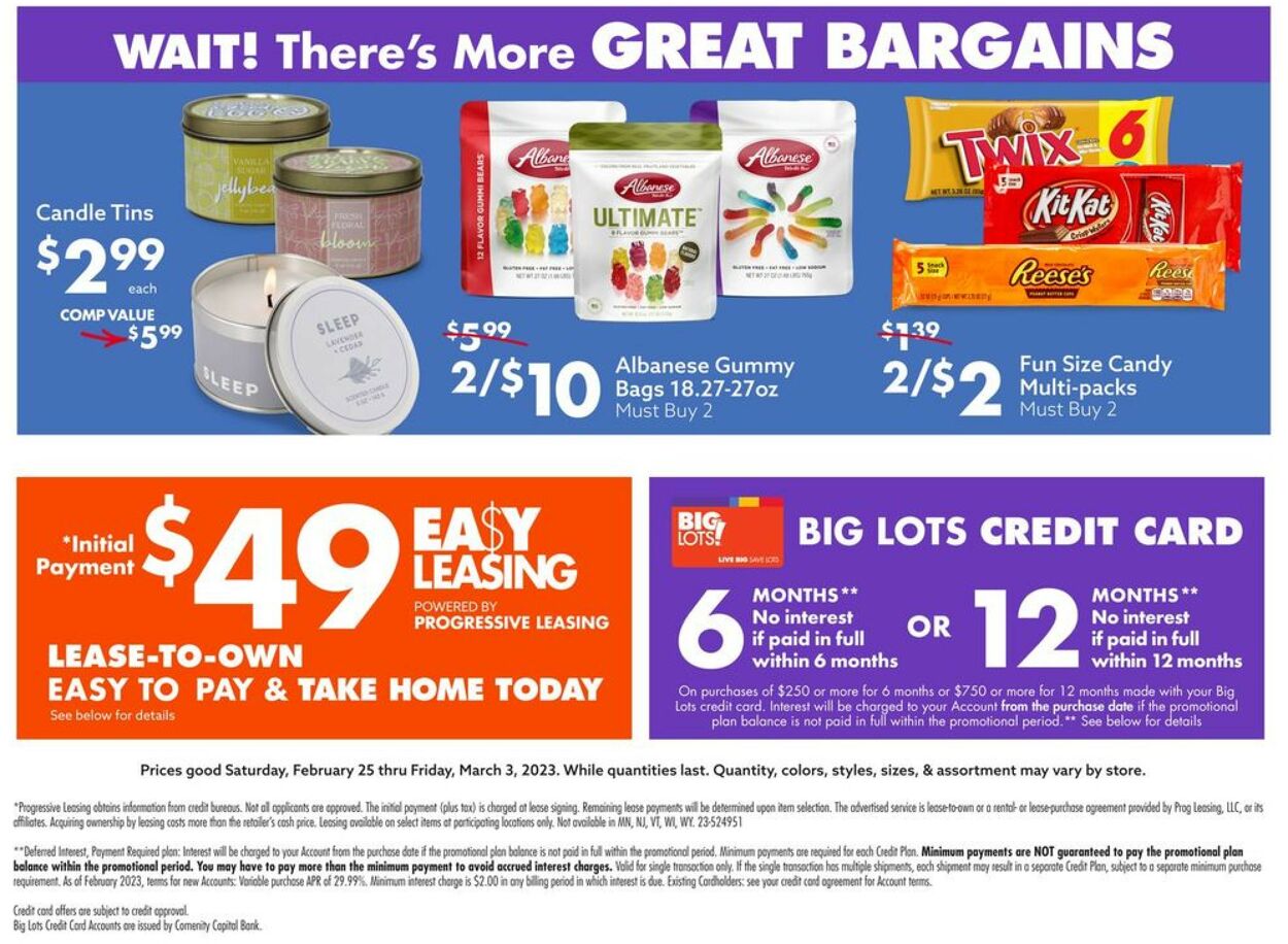 Big Lots Weekly Ad Circular - valid 02/25-03/03/2023 (Page 13)