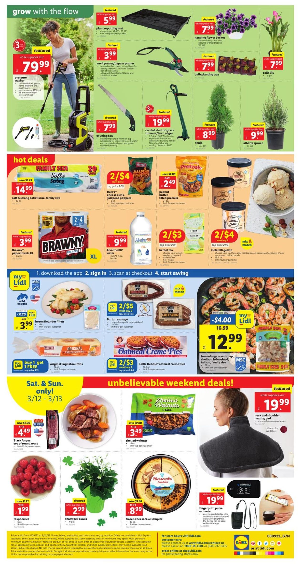 Lidl Weekly Ad Circular - valid 03/09-03/15/2022 (Page 4)