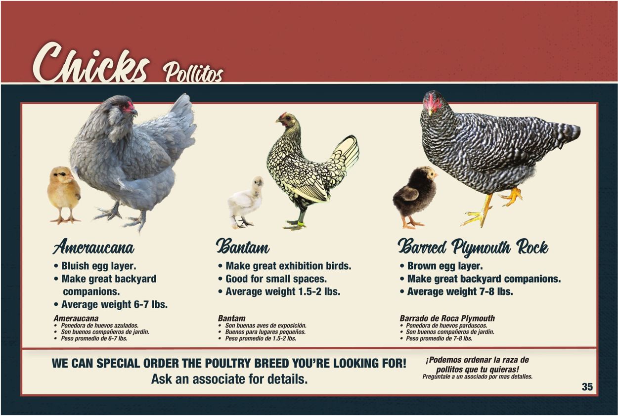 Orscheln Farm and Home Weekly Ad Circular - valid 02/01-11/01/2020 (Page 35)