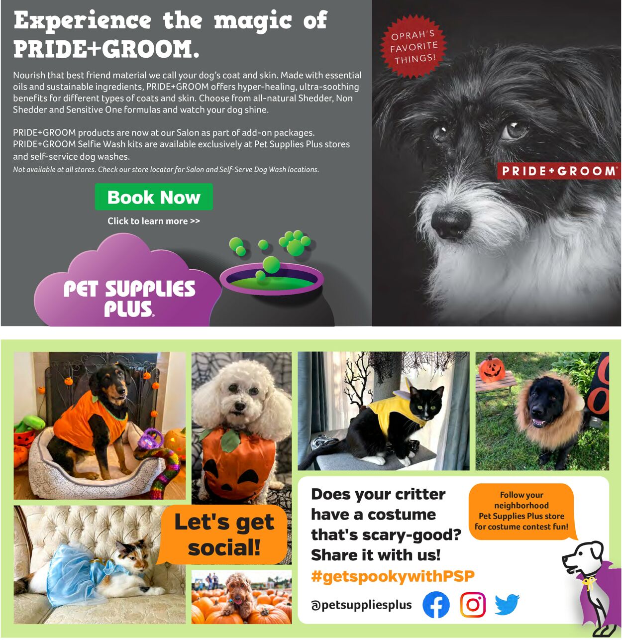 Pet Supplies Plus Weekly Ad Circular - valid 09/03-10/26/2022 (Page 9)