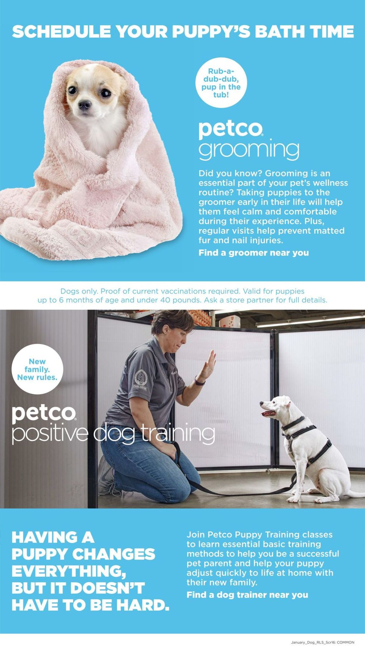 Petco Weekly Ad Circular - valid 12/26-02/01/2020 (Page 16)