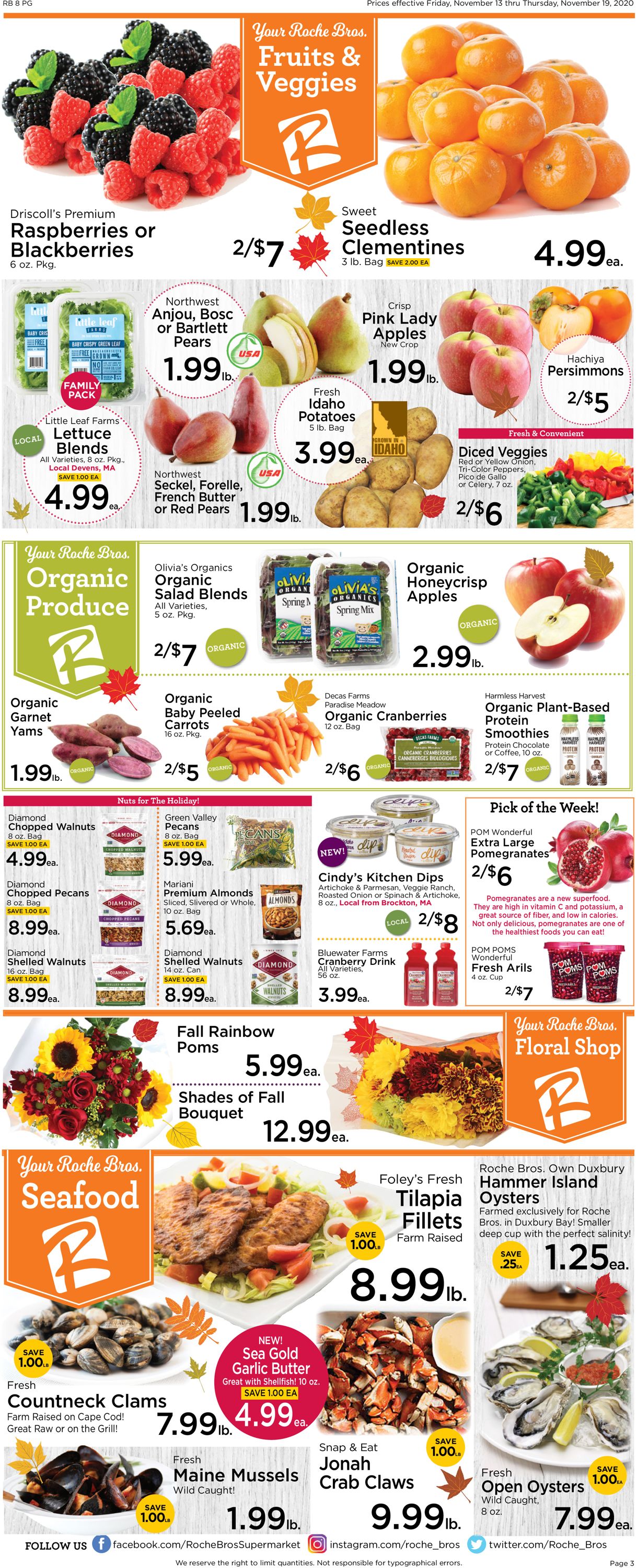 Roche Bros. Supermarkets Weekly Ad Circular - valid 11/13-11/19/2020 (Page 3)