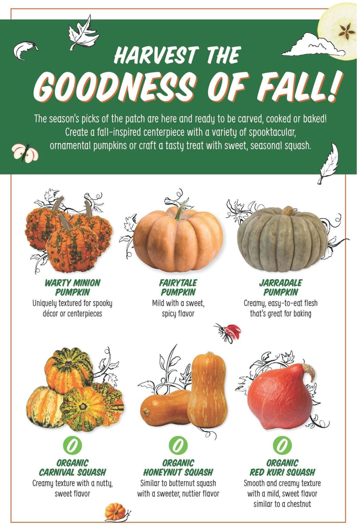Sprouts Weekly Ad Circular - valid 10/06-10/12/2021 (Page 6)