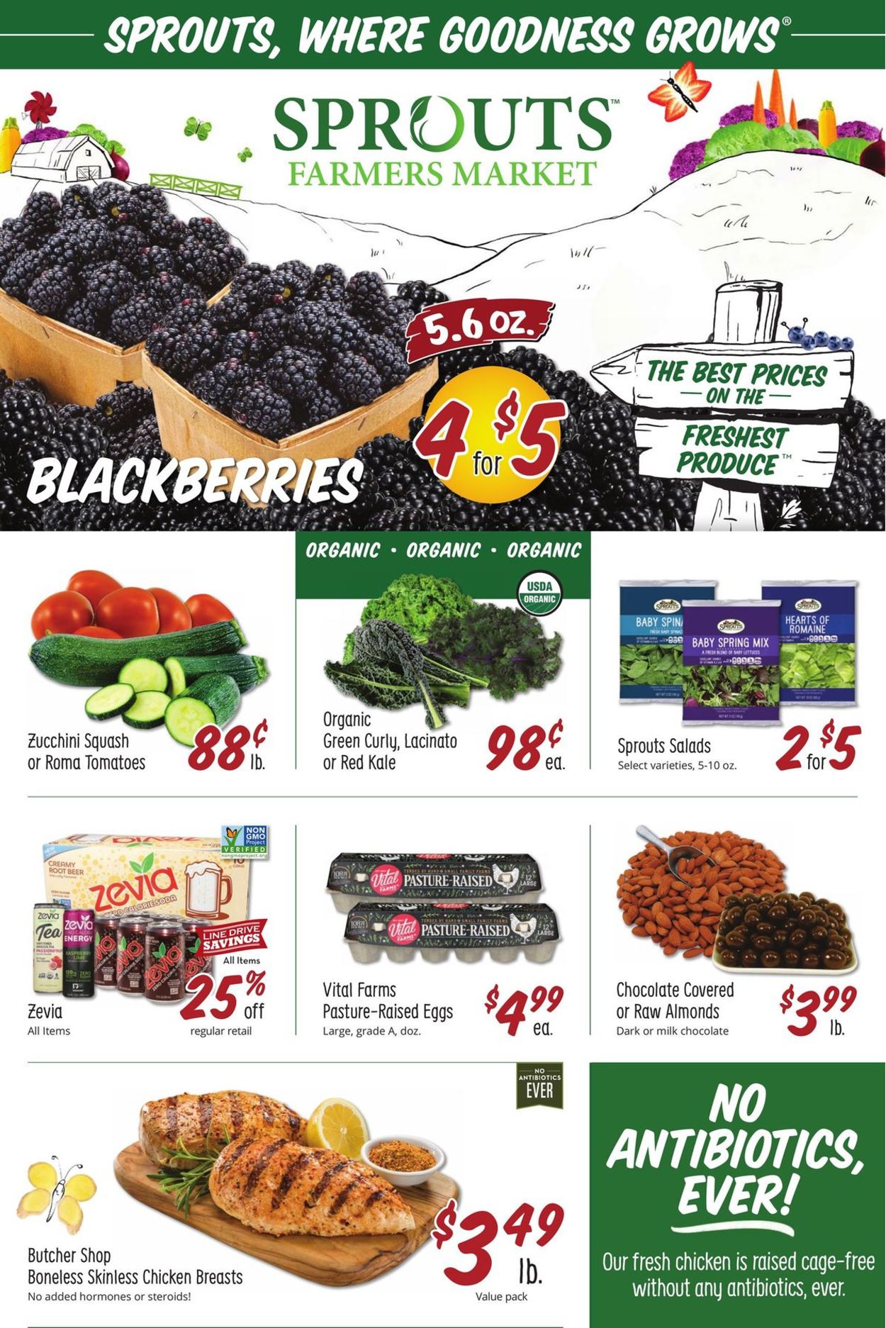 Sprouts Weekly Ad Circular - valid 01/19-01/25/2022 (Page 2)