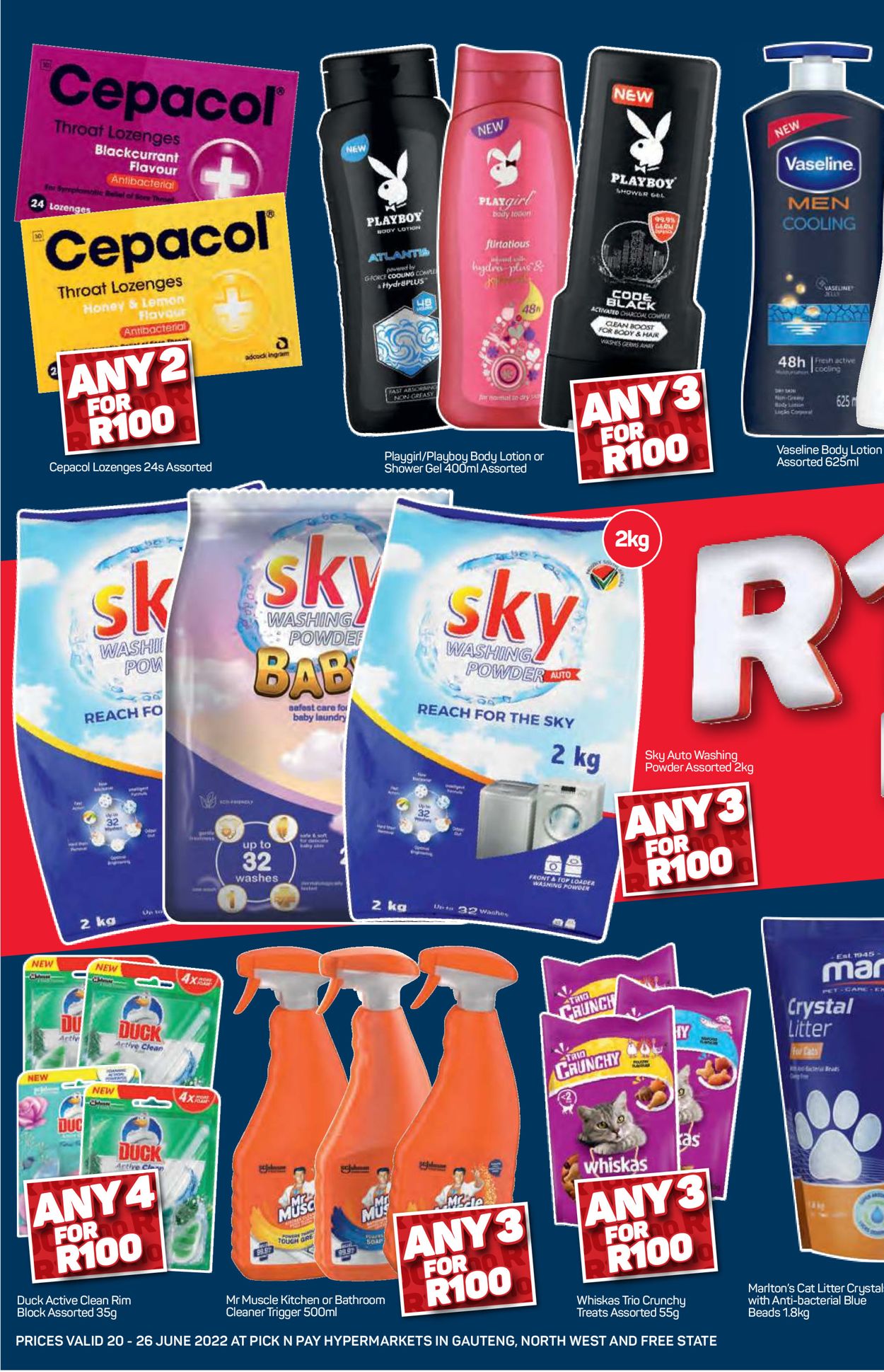 Pick n Pay Catalogue - 2022/06/20-2022/06/26 (Page 16)